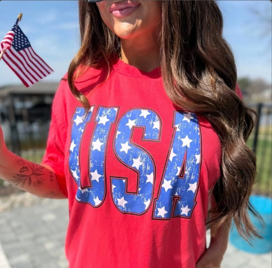 USA distressed: t-shirt