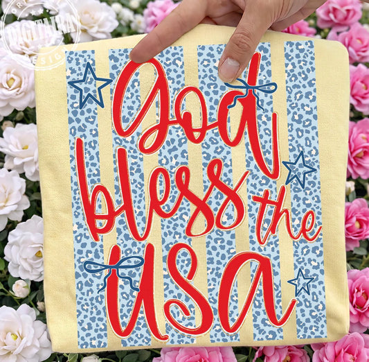 God bless the USA: t:shirt